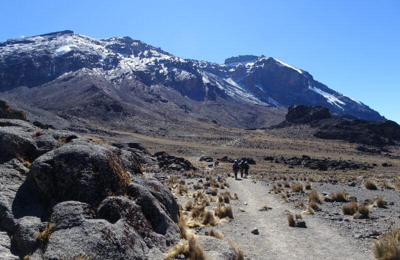 Climb Mt. Kilimanjaro in 7 days – Machame route (+1 free day in Arusha)