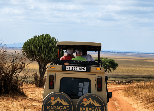 6 Days Northern Tanzania Wildlife Safari