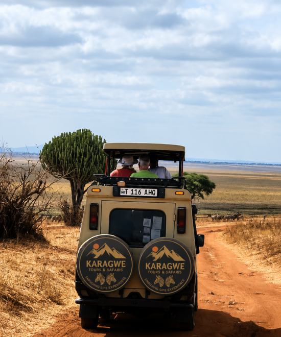 6 Days Northern Tanzania Wildlife Safari