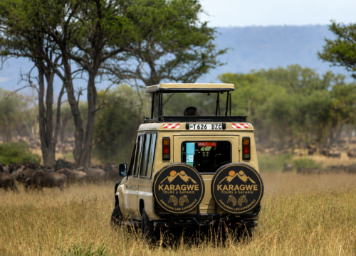 5 Days Northern Tanzania Budget Camping Safari