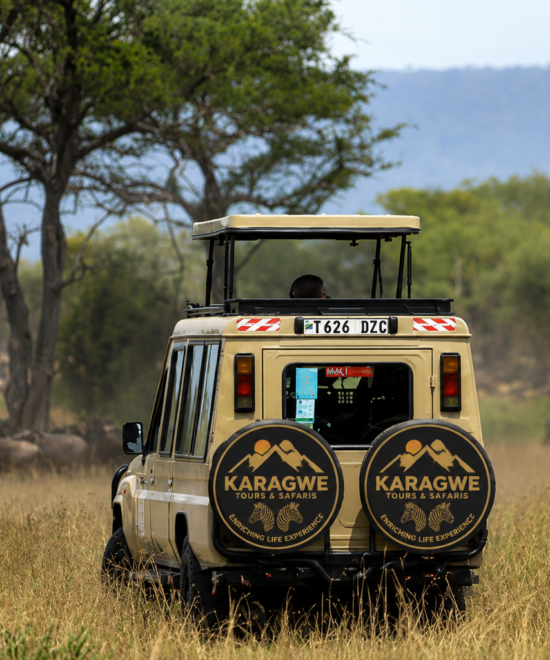 5 Days Northern Tanzania Budget Camping Safari