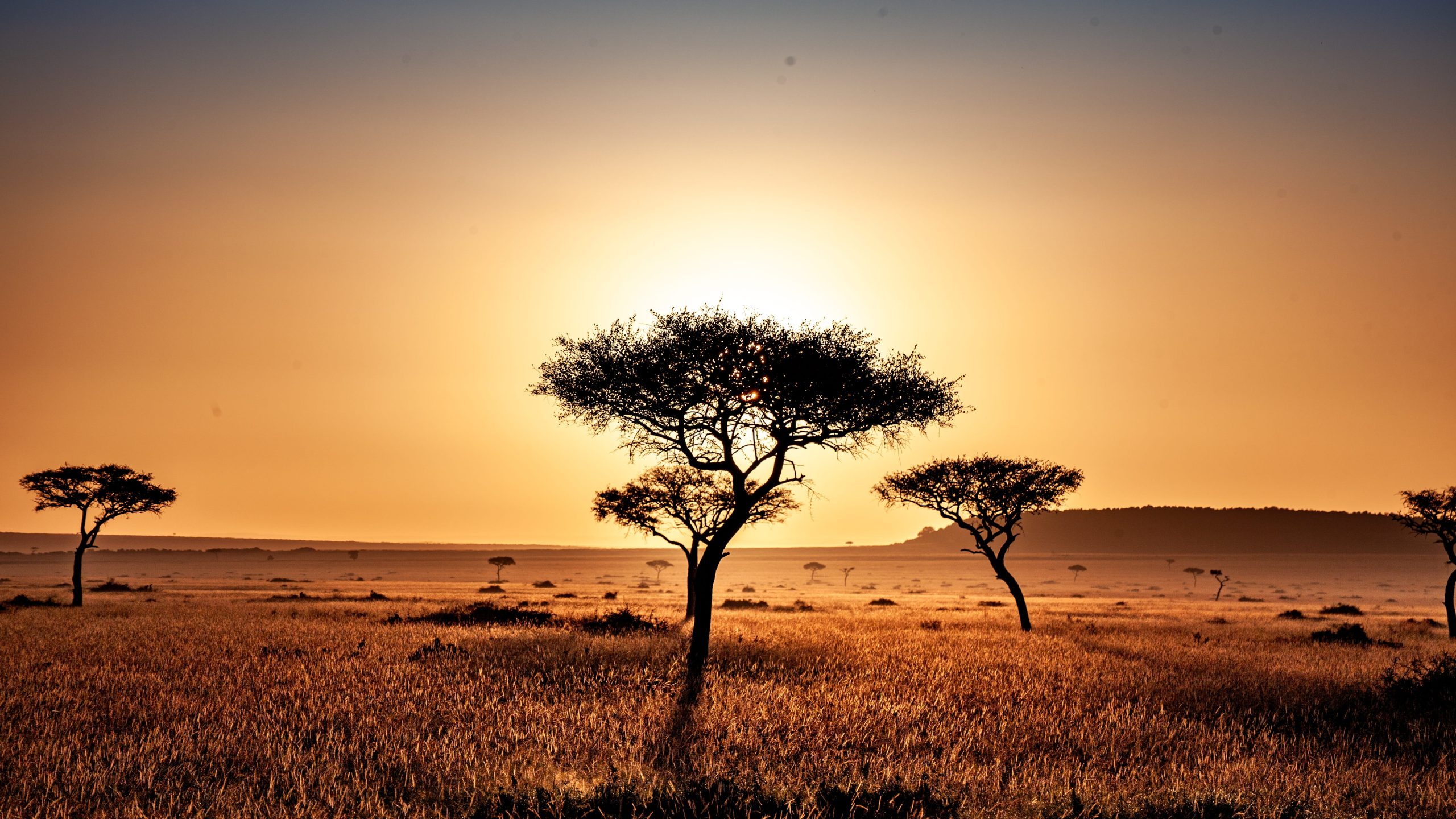 4 Days Safari Serengeti & Ngorongoro Crater