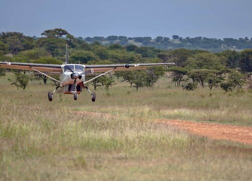 Fly-In Safari From Arusha To Serengeti