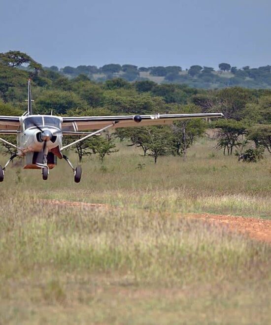 Fly-In Safari From Arusha To Serengeti