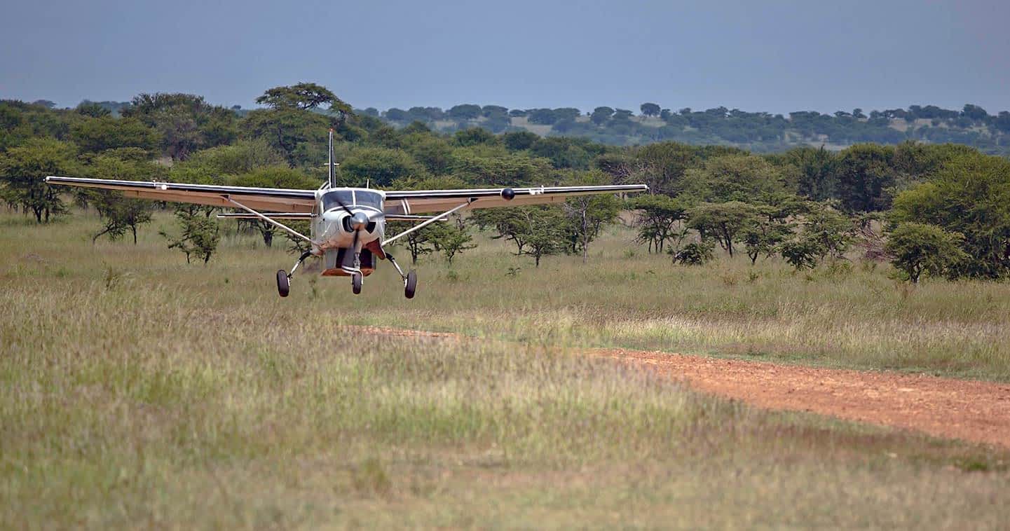 Fly-In Safari From Arusha To Serengeti