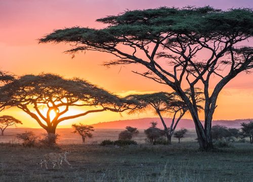 Serengeti And Ngorongoro Luxury Tour