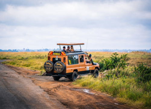 3 Days Tarangire And Ngorongoro Crater Camping Safari