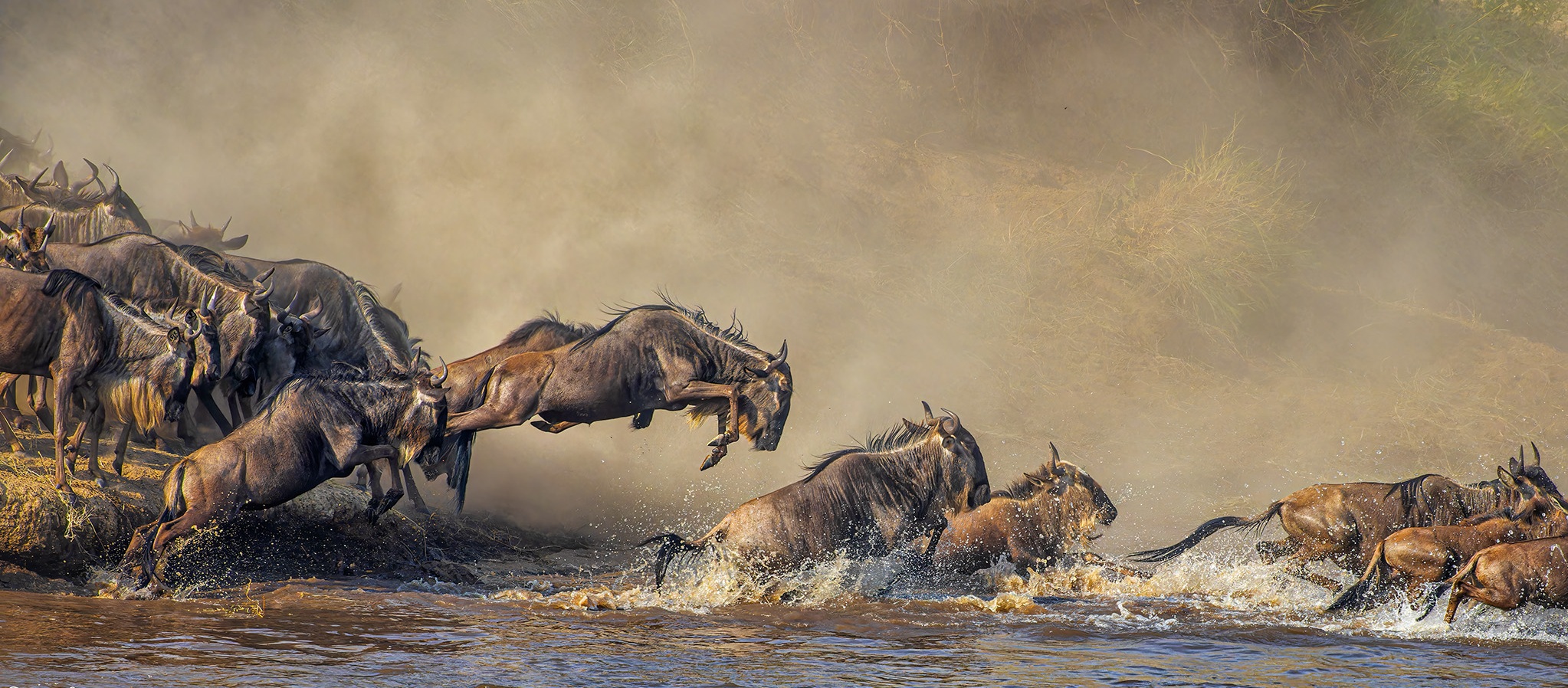 7 Days Serengeti Migration Safaris