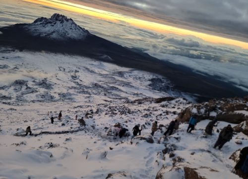 7 Days Kilimanjaro trek Machame Route