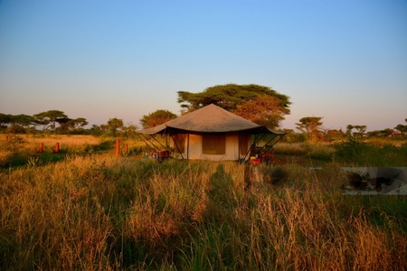 8 Days Safari Southern Tanzania