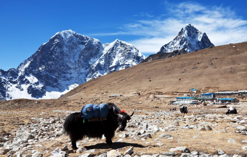 Explore the valley of glaciers- the Langtang valley with our Langtang Gosaikunda Trek!