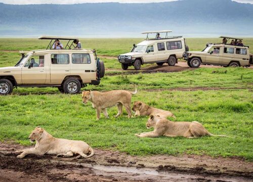 3 Days Safari to Serengeti and Ngorongoro Crater.