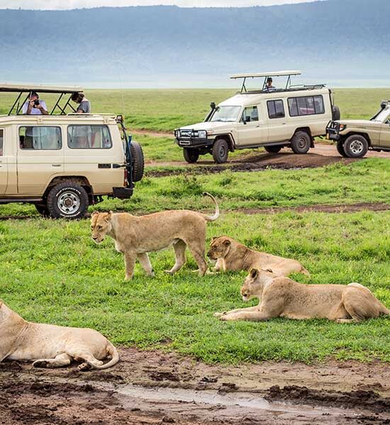 3 Days Safari to Serengeti and Ngorongoro Crater.