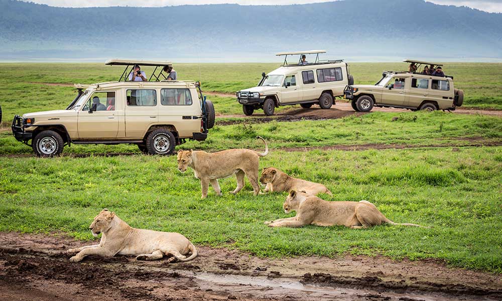 3 Days Safari to Serengeti and Ngorongoro Crater.