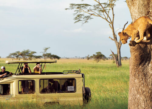 5-Day Great Migration Safari Luxury