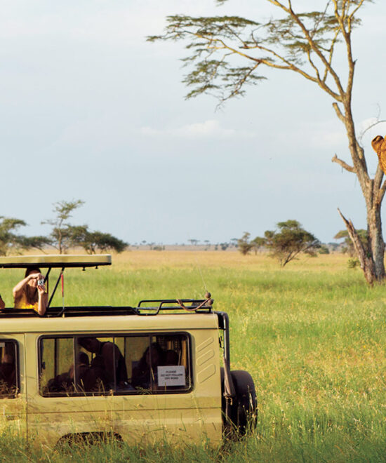 5-Day Great Migration Safari Luxury