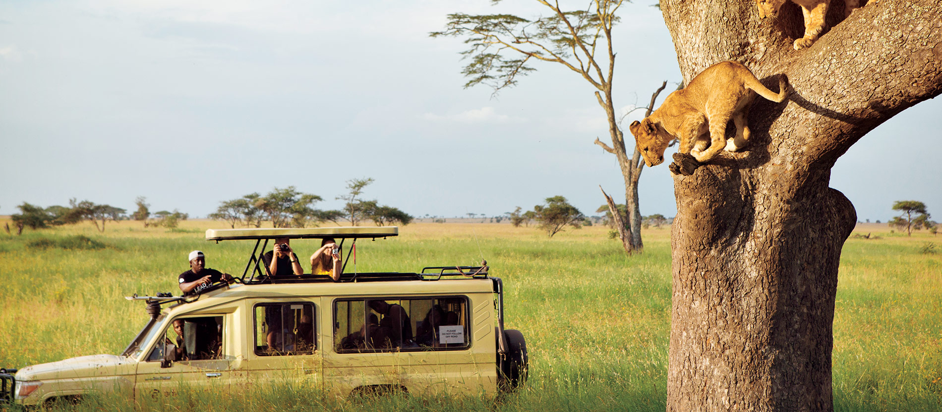 5-Day Great Migration Safari Luxury
