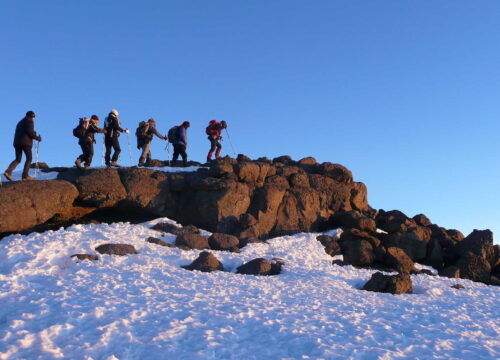 7 Days Lemosho Route Kilimanjaro Trekking