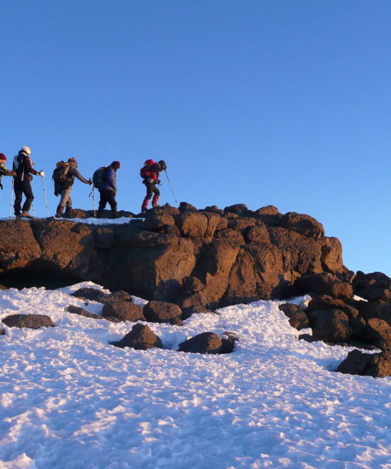 7 Days Lemosho Route Kilimanjaro Trekking