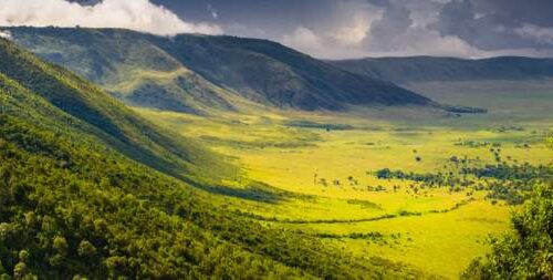 4 day tarangire Serengeti and Ngorongoro