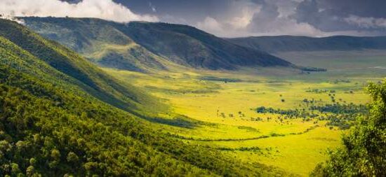 4 day tarangire Serengeti and Ngorongoro