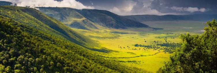 4 day tarangire Serengeti and Ngorongoro