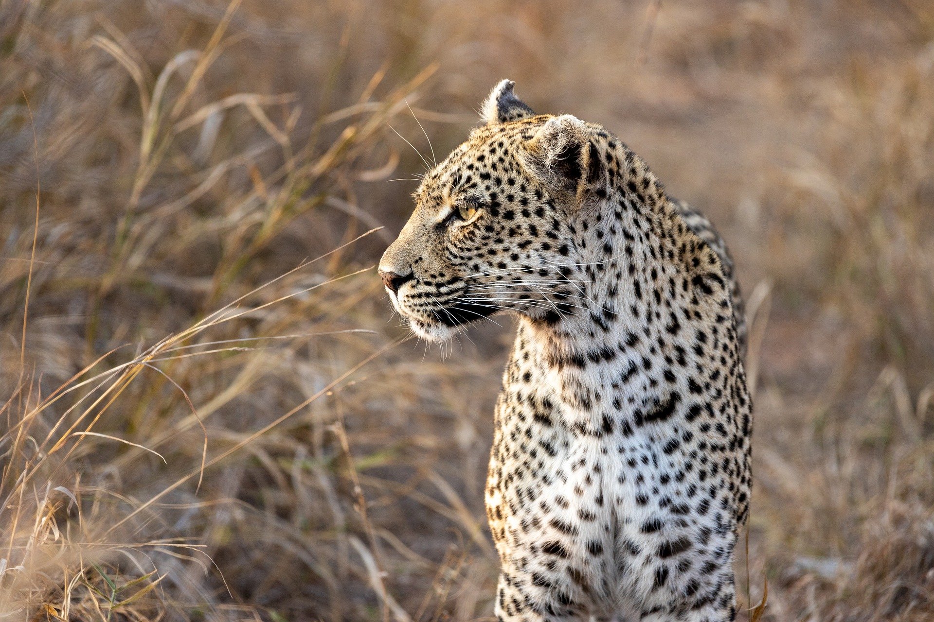 3 days tarangire manyara and Ngorongoro