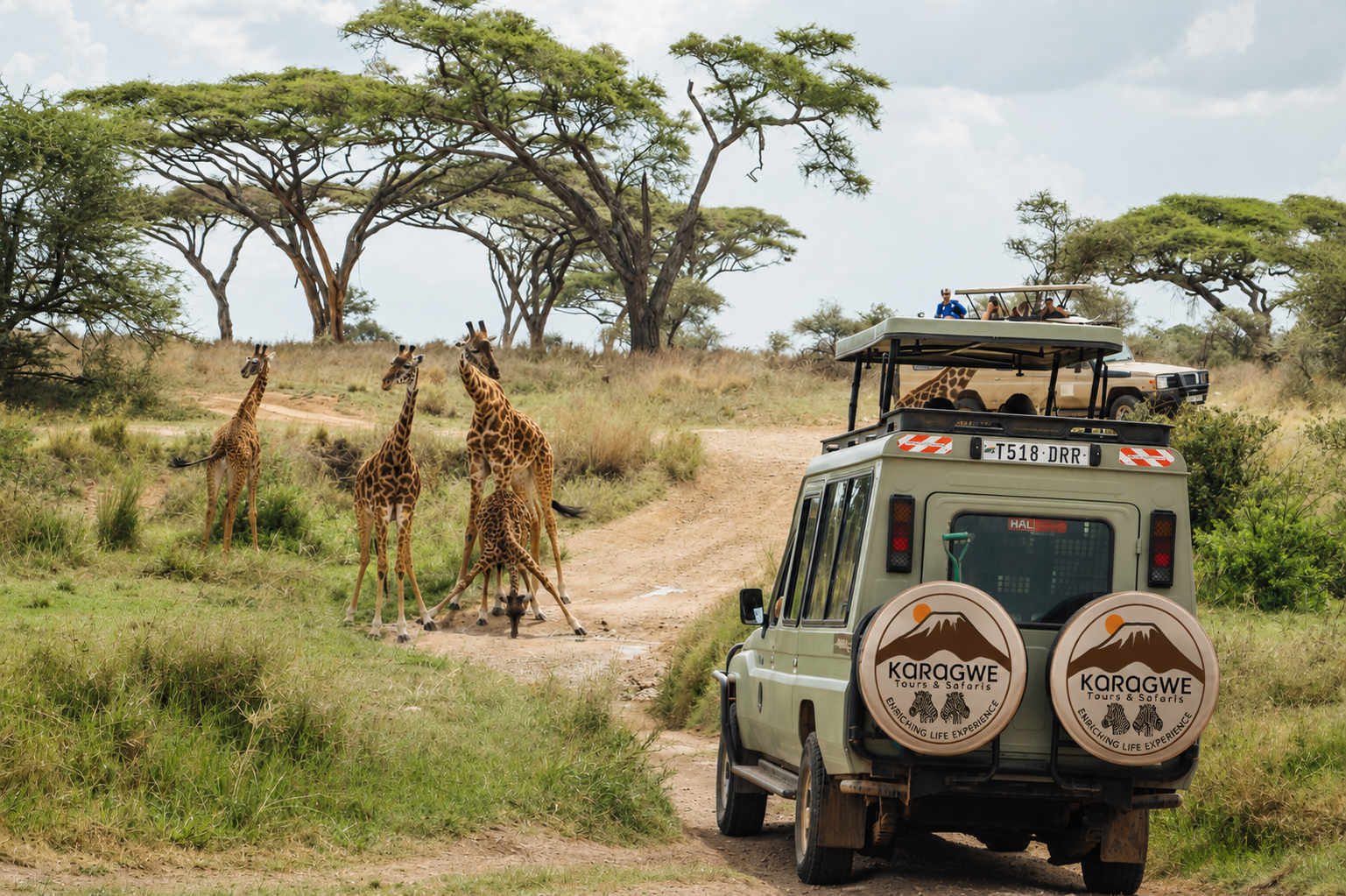 2 Days Joining Group to Tarangire & Ngorongoro Crater Lodge Safari Tour Tanzania