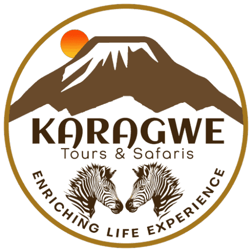 karagwetoursandsafaris.co.tz